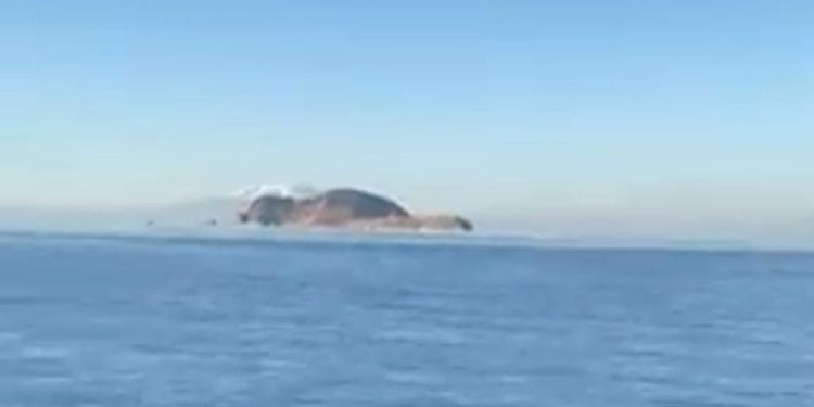 Metin Şentürk “Van Gölü canavarı”nı aradı