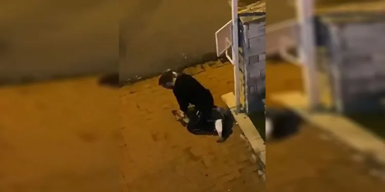 Köpeği boğmaya çalışan şüpheli tutuklandı