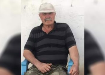 Koyunlarını beslerken ağaçtan düşüp öldü