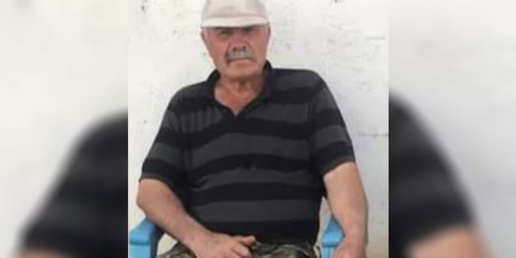 Koyunlarını beslerken ağaçtan düşüp öldü