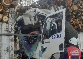 Odun yüklü iki kamyon çarpıştı