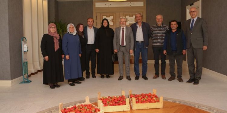 Çilek üreticisi kadınlara tam destek