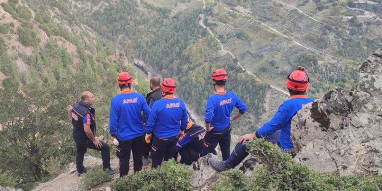 Zeytin toplarken uçuruma yuvarlandı