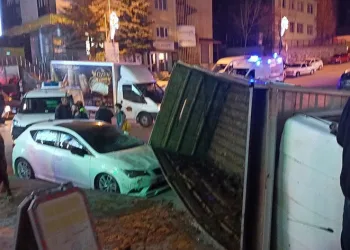 Büyükbaş hayvan yüklü kamyon devrildi