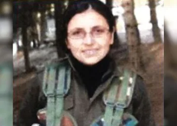 Cezire bölge sorumlusu etkisizleştirildi