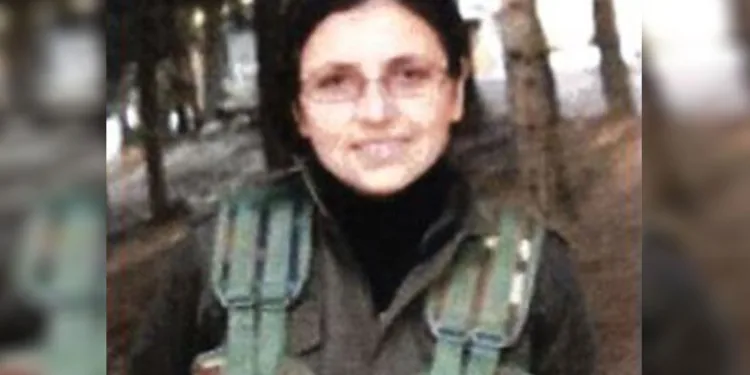 Cezire bölge sorumlusu etkisizleştirildi