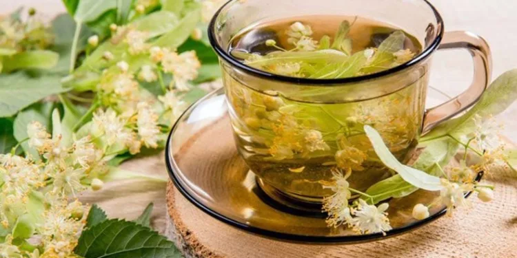 Hastalıklardan korunmak isteyenlerin gözdesi