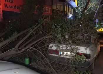 Bursa’da şiddetli lodos kazalara sebep oldu