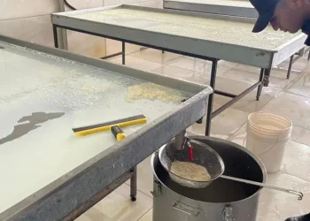 300 kilogram kaymağa el konuldu