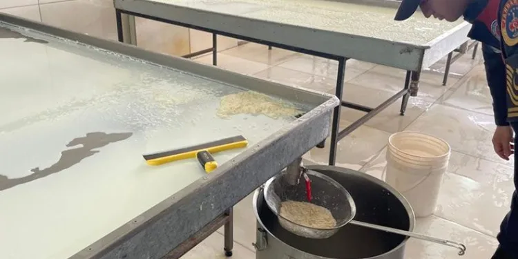 300 kilogram kaymağa el konuldu