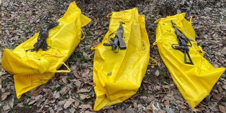 Şırnak’ta teröristler etkisiz hale getirildi