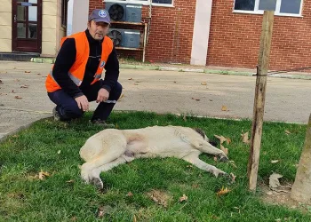 Soğuk havada yürek ısıttılar