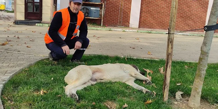 Soğuk havada yürek ısıttılar