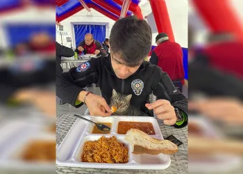 Yemeğini kucağına aldığı kediyle paylaştı