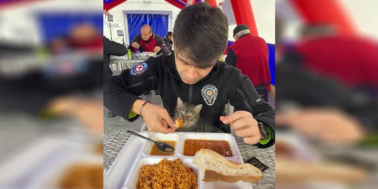 Yemeğini kucağına aldığı kediyle paylaştı