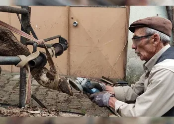 İneklere yapılan manikür pedikür verimi arttırdı