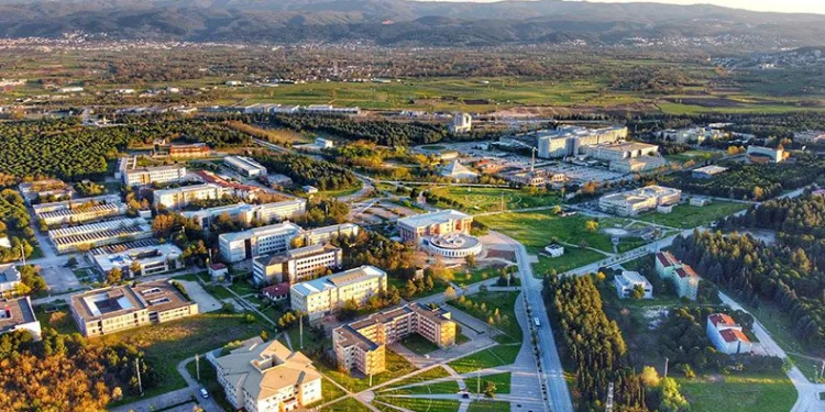 2022’nin son memnuniyet anketi