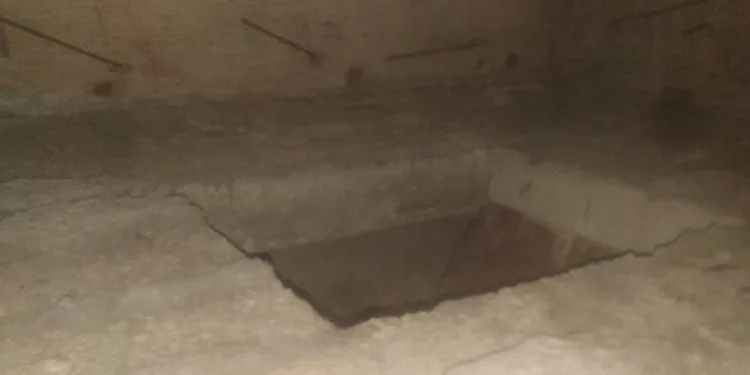 Su kuyusuna düşen köpek kurtarıldı