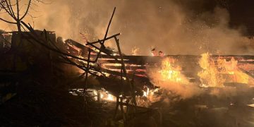 Bursa’da ahırda yangın: Bir çok hayvan telef oldu