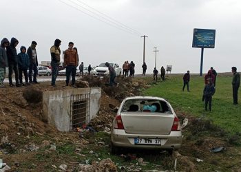 Mardin’de otomobil yol kenarına uçtu