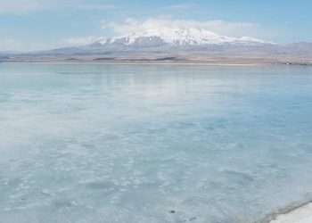 ‘Kuş Cenneti’ Arin Gölü dondu