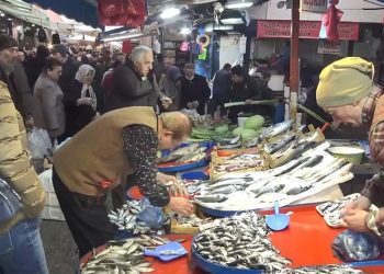 Balık tezgahlarına bereket geldi