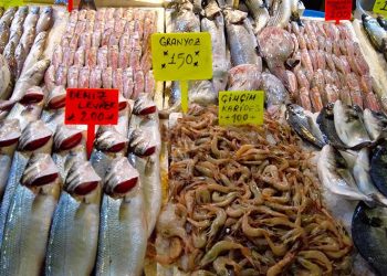 İzmir Foça tezgahlarında levrek bolluğu