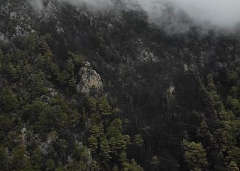 Yanan ormanlık alan havadan görüntülendi