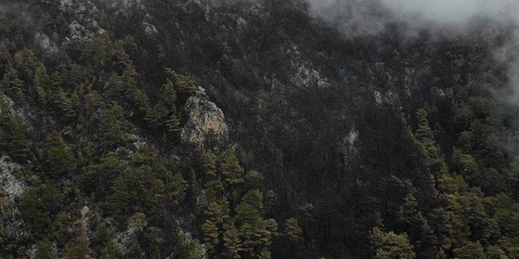 Yanan ormanlık alan havadan görüntülendi