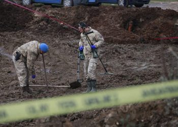 Jandarma dedektörle cinayetin işlendiği suç aletini arıyor