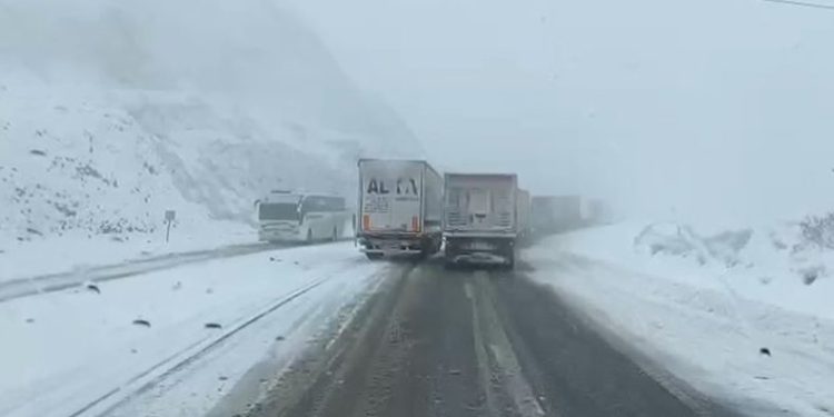 Bingöl’de kar ulaşımı engelledi