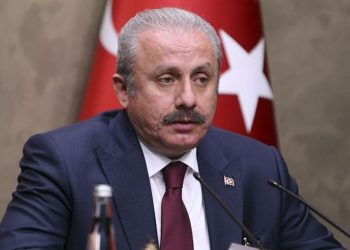 “Meclisin karar almasına gerek yoktur”