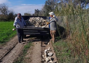 Köylüler kendi yollarını yapmaya başladı