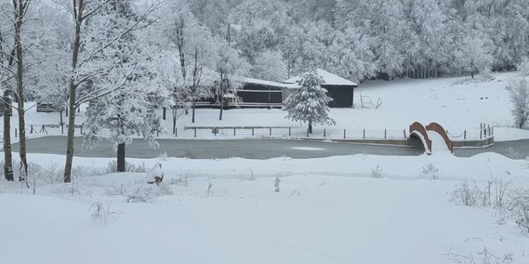 Domaniç’te kar kalınlığı 30 santimetreye ulaştı