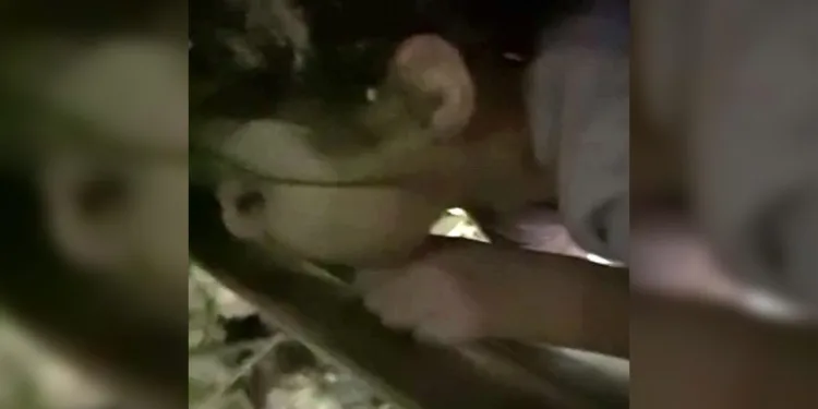 “Çıktığında oyun oynayacağız”