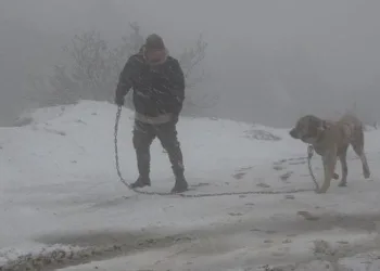 Anadolu Yakası’nda kar yağışı başladı