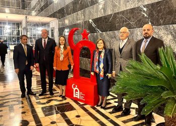 Kültürel Miras Enstitüsü, vakıf olarak hizmet verebilecek