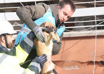 Enkazdan sağ çıktı, depremzede kadın sahiplendi