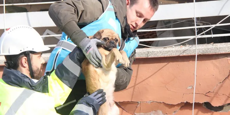 Enkazdan sağ çıktı, depremzede kadın sahiplendi