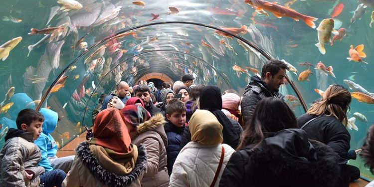 ‘Karne Sizden Cazibe’de Bilet Bizden’