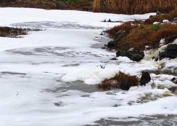 Uluabat Gölü’ne akan derelerde “beyaz köpük” paniği