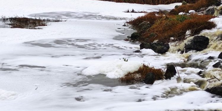 Uluabat Gölü’ne akan derelerde “beyaz köpük” paniği
