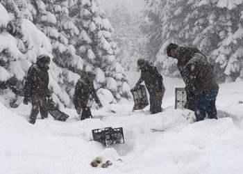Uludağ Milli Parkı’nda yaban hayvanları unutulmadı