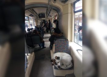 Tramvayda yolculuk ederek soğuktan kaçındılar