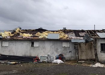 Şiddetli fırtına 15 hayvanı telef etti