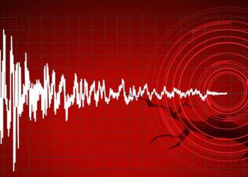 Bursa Depremle sallandı