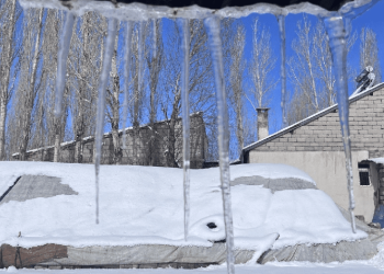 Ağrı’da kar yağışının ardından don etkili oldu