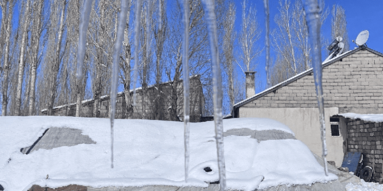 Ağrı’da kar yağışının ardından don etkili oldu