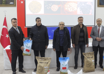 Muş’ta çiftçiye tohum desteği verildi