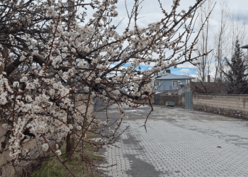 Adilcevaz’da iki mevsim bir arada